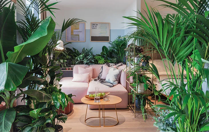 How to Bring Biophilic Design into Your Home: 5 Easy Ways for a Calming Sanctuary